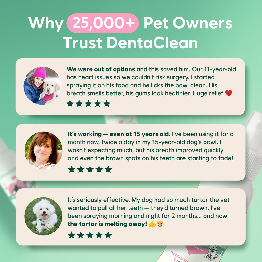 Cleaner Teeth & Fresher Breath — Without the Brushing Battle