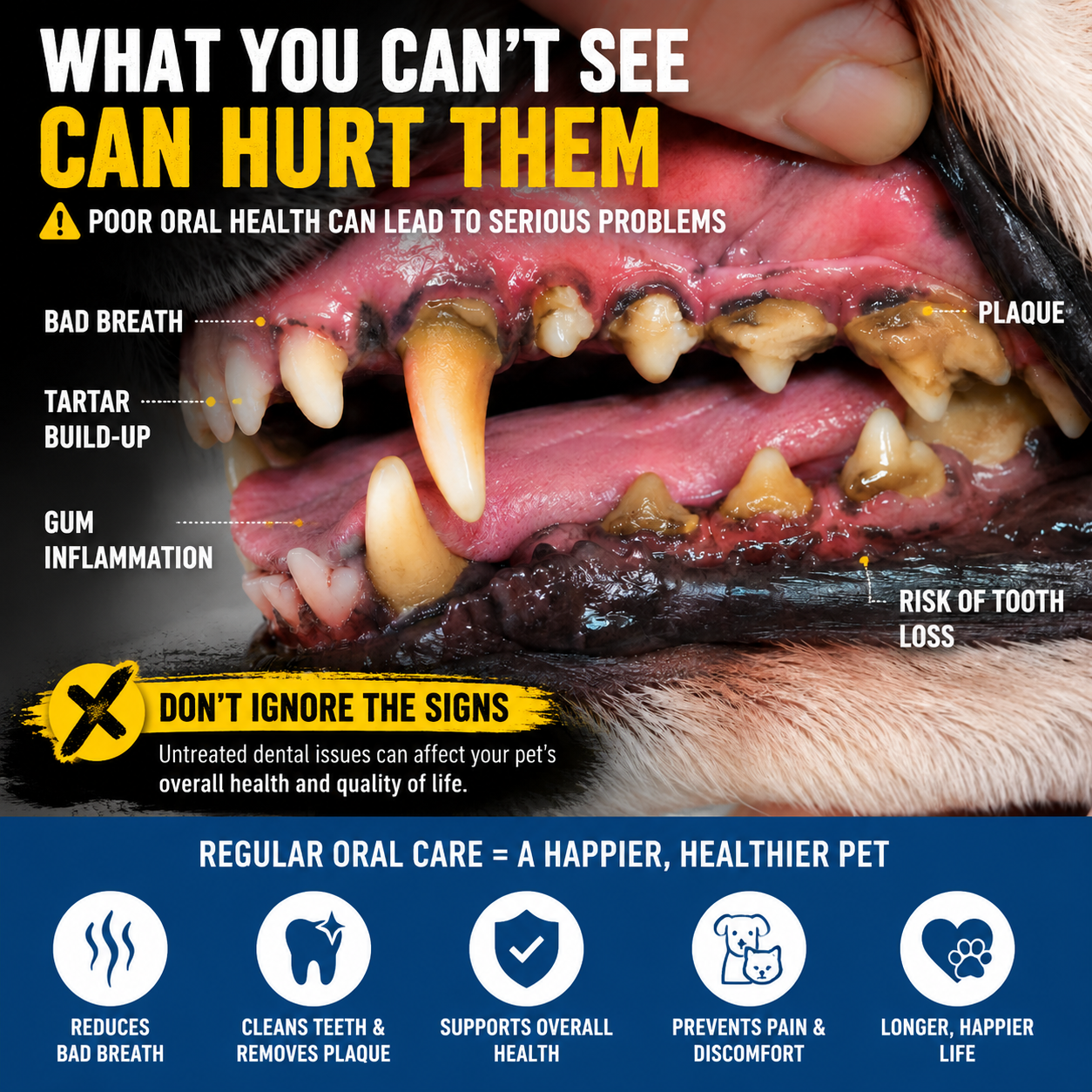 Fresh Breath Starts Here — The Easy Daily Dental Care Your Pet Will Love