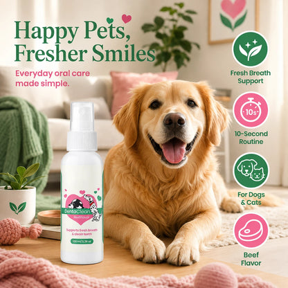 Cleaner Teeth & Fresher Breath — Without the Brushing Battle