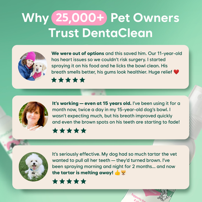 Cleaner Teeth & Fresher Breath — Without the Brushing Battle