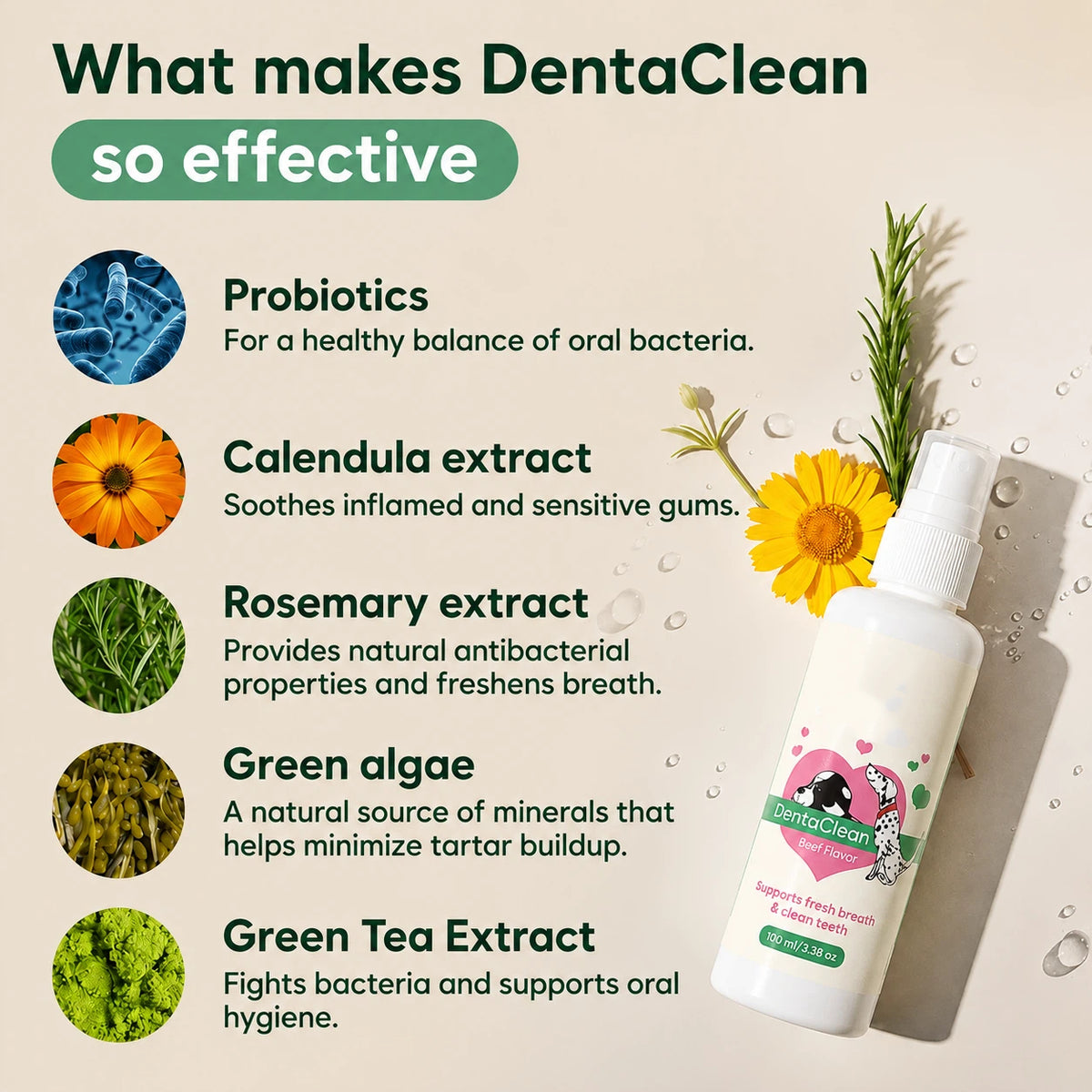 Cleaner Teeth & Fresher Breath — Without the Brushing Battle