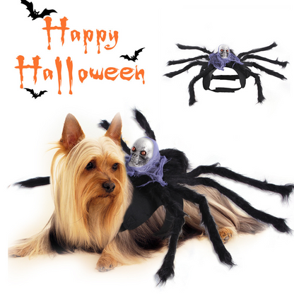 Spooky Spider Pet Costume – Creepy Crawly Halloween Outfit for Dogs & Cats