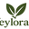 Veyloram logo